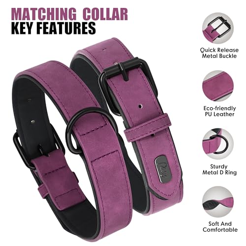 PU Leather Dog Collar and Leash Set (M: Neck 11-15", Width ¾" / Purple Set)