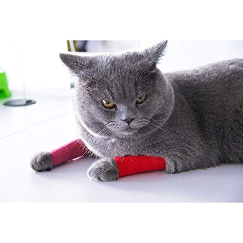 Vet Wrap Cohesive Bandages Bulk Self Adhesive Bandage Wrap Self Adherent Wrap Non (2 Inch Black)
