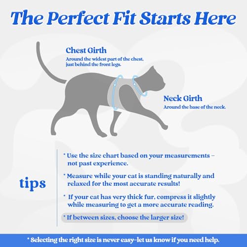 Cat Harness and Leash Set (L / Blue)