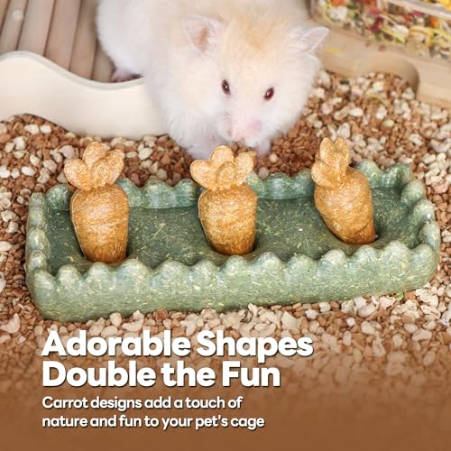Guinea Pig Chew Toys (4PCS-Grass Patch & Carrots)