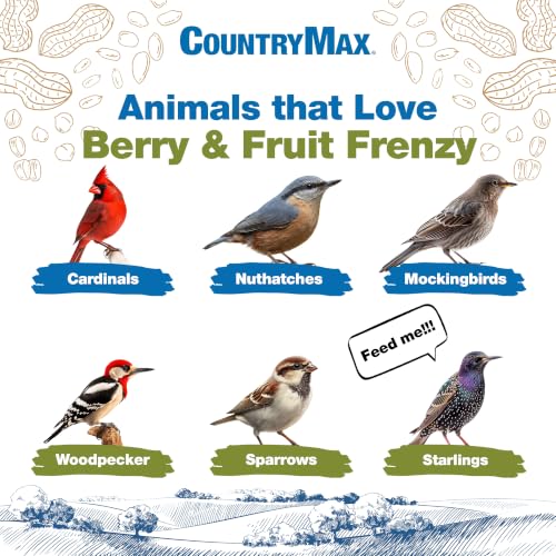 Backyard Seeds 40LB Berries 'N Fruit Bird Seed Mix (Berries & Fruit / 40 Pound (Pack of 1))
