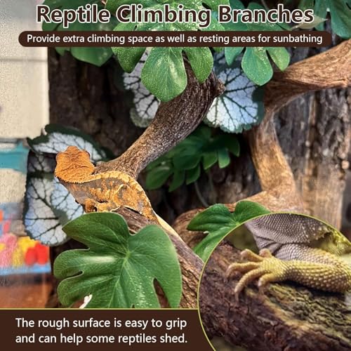 3PCS Natural Reptile Climbing Branches Decor (3PCS|S:0.75-1.25"T,13"H)