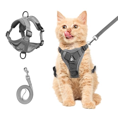 cat Chest Harness and Leash (grey / S:3.3-6.6lb)