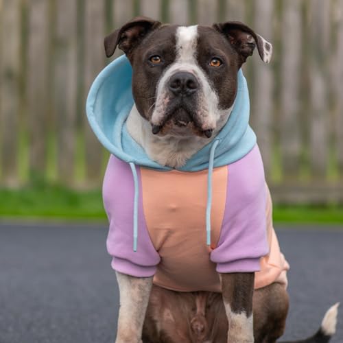 Dog Hoodie Buttery (Cotton Candy / 4XL)