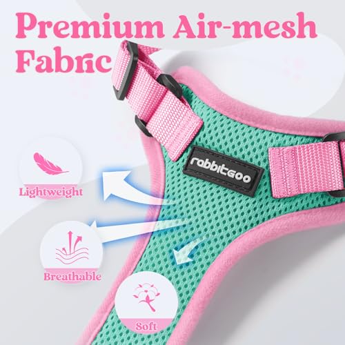 Cat Harness and Leash Set (Green & Pink / M)