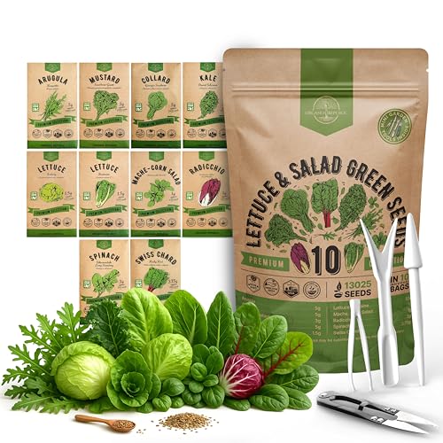 10 Lettuce & Salad Greens Seeds Variety Pack 13000+ Non