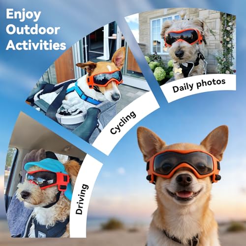 Medium Dog Goggles for Medium Breed UV (Medium / Orange)