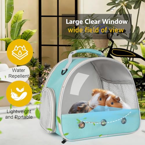 Bearded Dragon Carrier (Green)