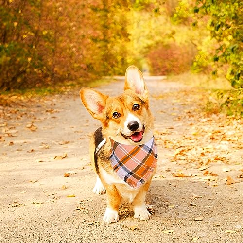 Fall Dog Bandana (Large / Fall)