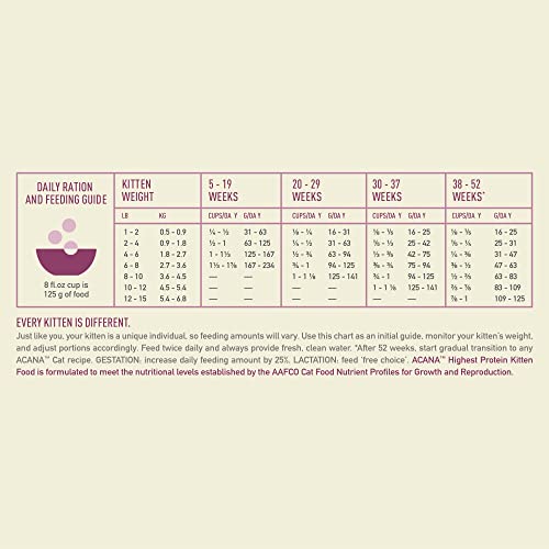 Highest Protein Dry Cat Food Kitten Recipe 4lb Bag (4 Pound (Pack of 1))