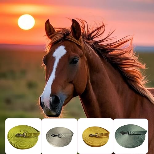 Horse Training Lunge Line with Alloy Trigger Buckle for Accurate Equestrian Training of 32.8 ft (32.8feet / Grayish White)