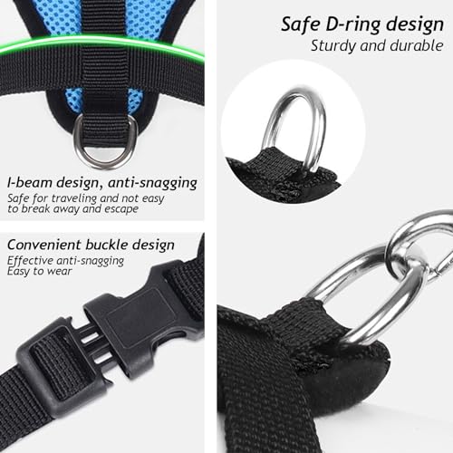Sky Blue Green Cat Harness and Leash Set (sky blue / L：(Neck:13.77" chest:16.53"-22.04"))