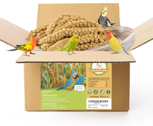 2LB Spray Millet Bird Treat for Parakeets