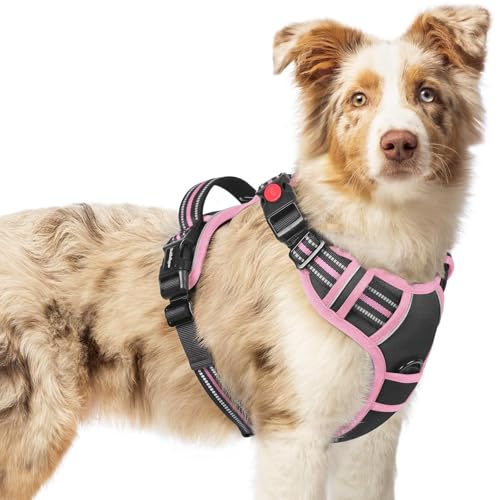 Dog Harness Medium Sized (Black & Pink / Medium)