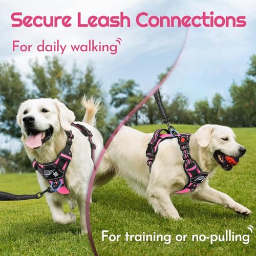 Dog Harness No Pull for Medium Dogs (Medium / Pink & Black)