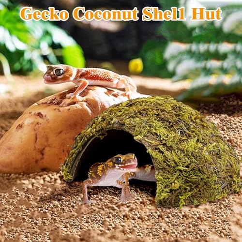 4 Pack Natural Green Moss Hermit Crab Hide Caves Coconut Reptile Hideouts (Moss Surface / 4 PCS)