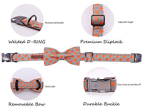 Halloween Dog Collar (Pumpkin / Medium (Pack of 1))