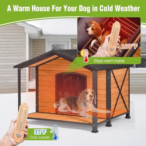Dog House for Outdoor Use