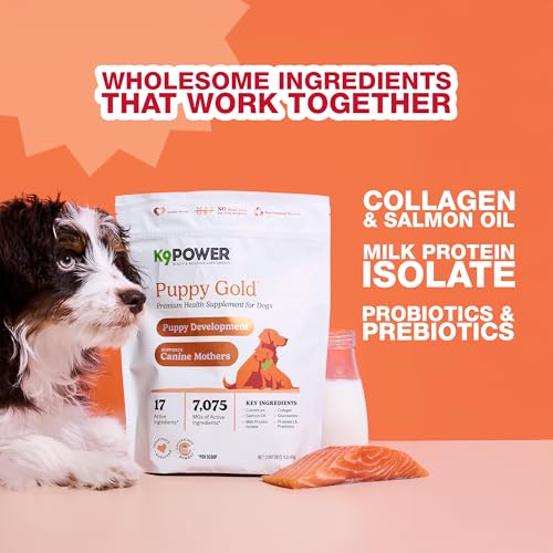 K9Power Puppy Gold 3lb (1 lb (Pack of 3))