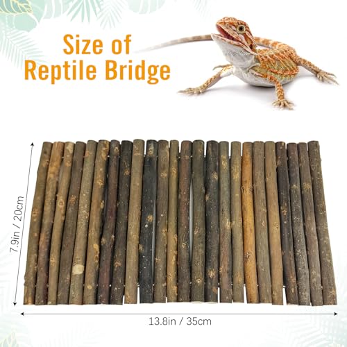 13.8" L x 7.9" W Wooden Reptile Bridge Ladder Climbing Toy Natural Hideout Tunnel Ramp for Lizards Gecko Spiders Snakes Tortoise