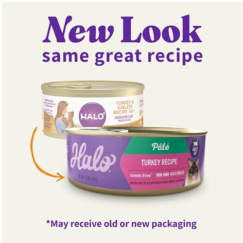 Pate Wet Cat Food