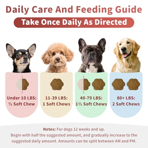 Dog Allergy Chews (90 Count (Pack of 1))