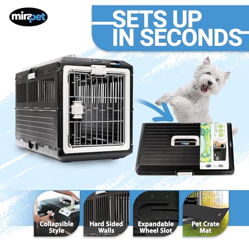 Pet Carrier with Pad (Medium - Gray / with travel kit)