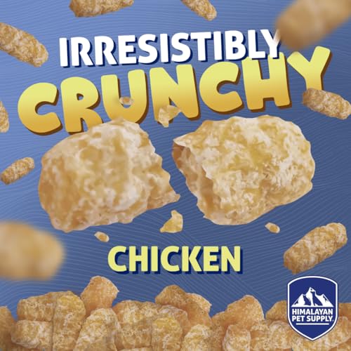 Barkeetos Crunchy Cheesy Dog Snacks (3 Ounce (Pack of 1))