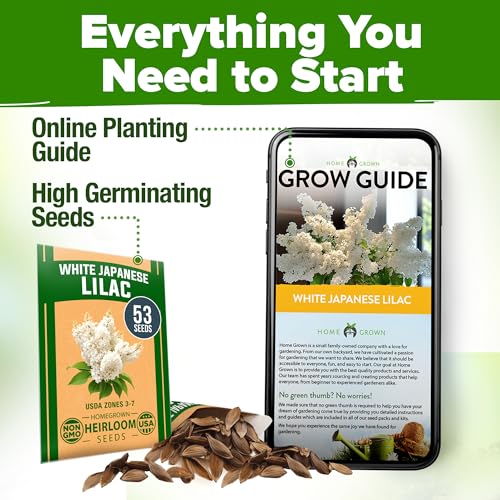 White Lilac Seeds