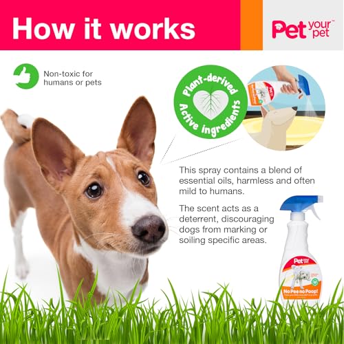 Dog Potty Training Spray No Pee No Poop (16 Ounce)