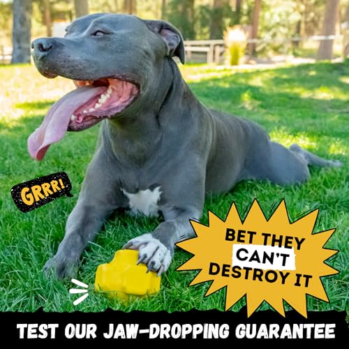 Indestructible Jumping Jack Chew Toy