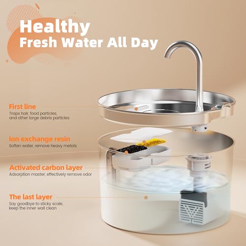 74oz Cat Water Fountain Stainless Steel for Drinking