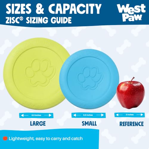 Zisc High Flying Disc Dog Toy (Small / Granny Smith)