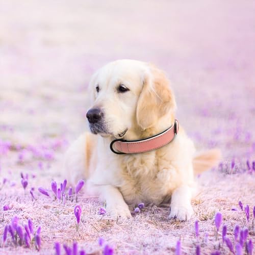 Soft PU Leather Dog Collar (XL: Neck 17-23", Width 1¼" / Pink)