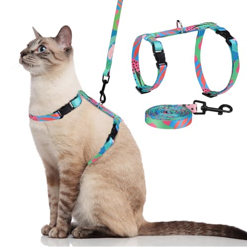Cat Harness and Leash Set (Small / Green)