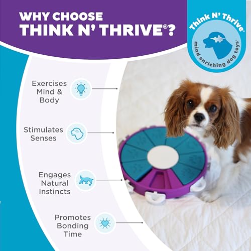 Nina Ottosson Dog Twister Dog Toy Treat Puzzle