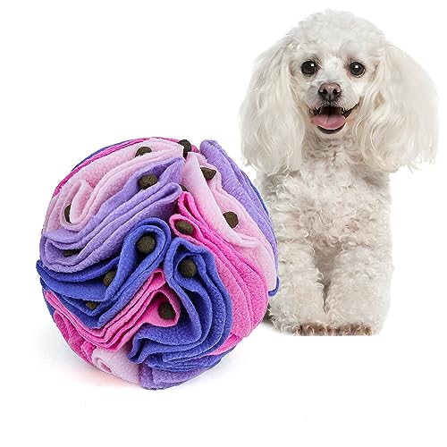 Pet Snuffle Ball (Pink and purple / 10cm)