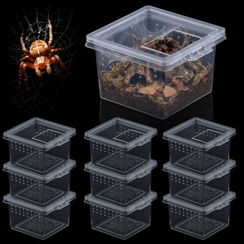 10 Pcs Insect Spider Terrariums Breeding Box Hatching Container Small Reptile Scorpion Centipede Acrylic Breeding Box