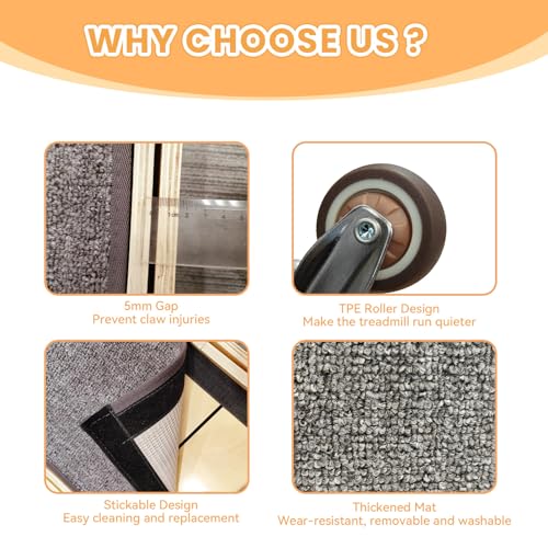 Cat Wheels for Indoor Cats (XL / Black)