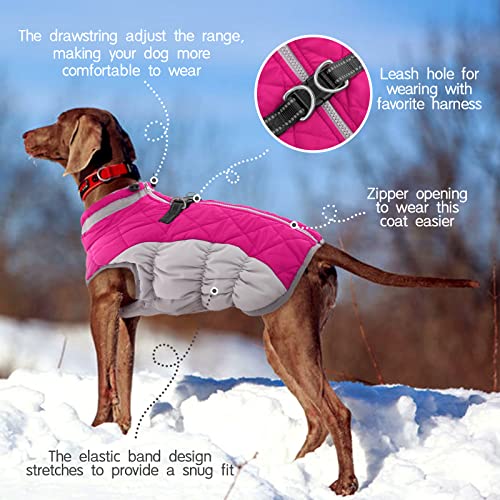 Dog Coat for Small Dogs (Rose Red / S(chest:17in))