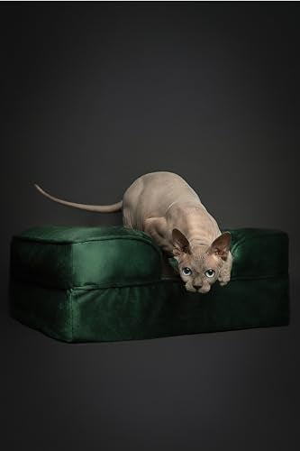 Cat Bed XS Dog Bed (Dark Green - VE / Small)