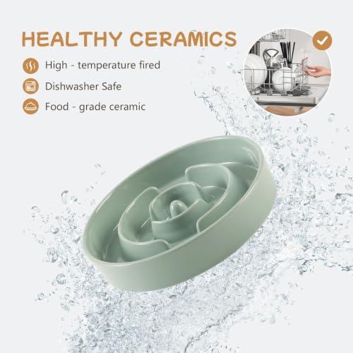 Elevated Slow Feeder Dog Bowls (Light Green)