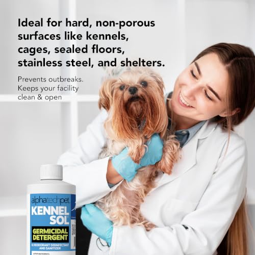 KennelSol Disinfectant & Cleaner for Kennels (16 Fl Oz (Pack of 1))