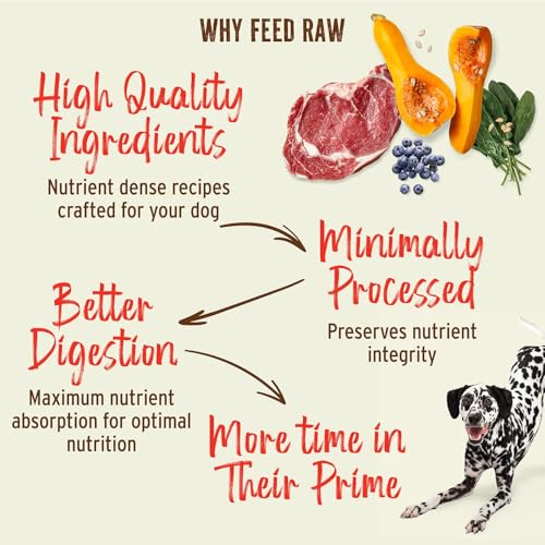 Primal Freeze Dried Raw Dog Food Nuggets (14 Ounce (Pack of 1))