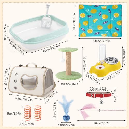 10 Pcs Kitten Starter Kit for Indoor (Cute / Small / Multicolor)