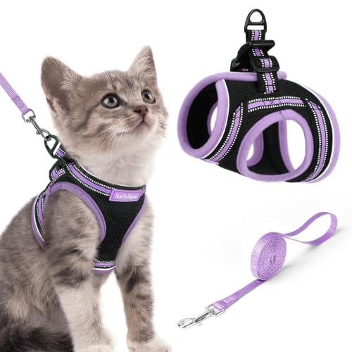 Cat Harness and Leash Set (S / Black-Light Purple)