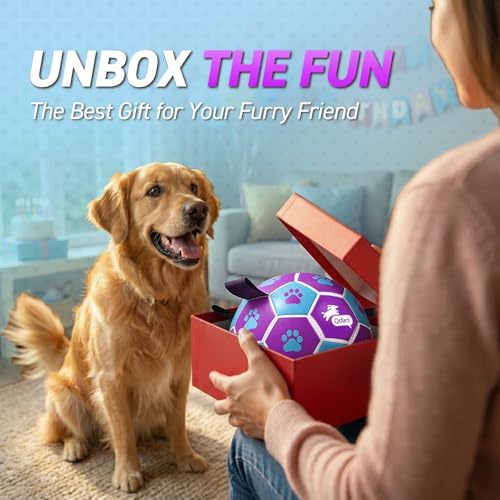Dog Toy Soccer Ball (Blue Pruple / Large Size 3 (8 Inch))