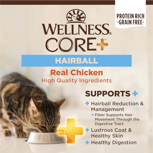 CORE+ Hairball Adult Dry Cat Food (4.75 Pound (Pack of 1))