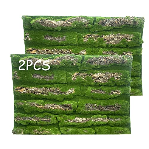Reptile Cork Terrarium Background Decor