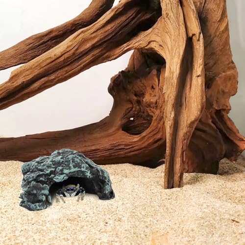 Spider Hide Shelter